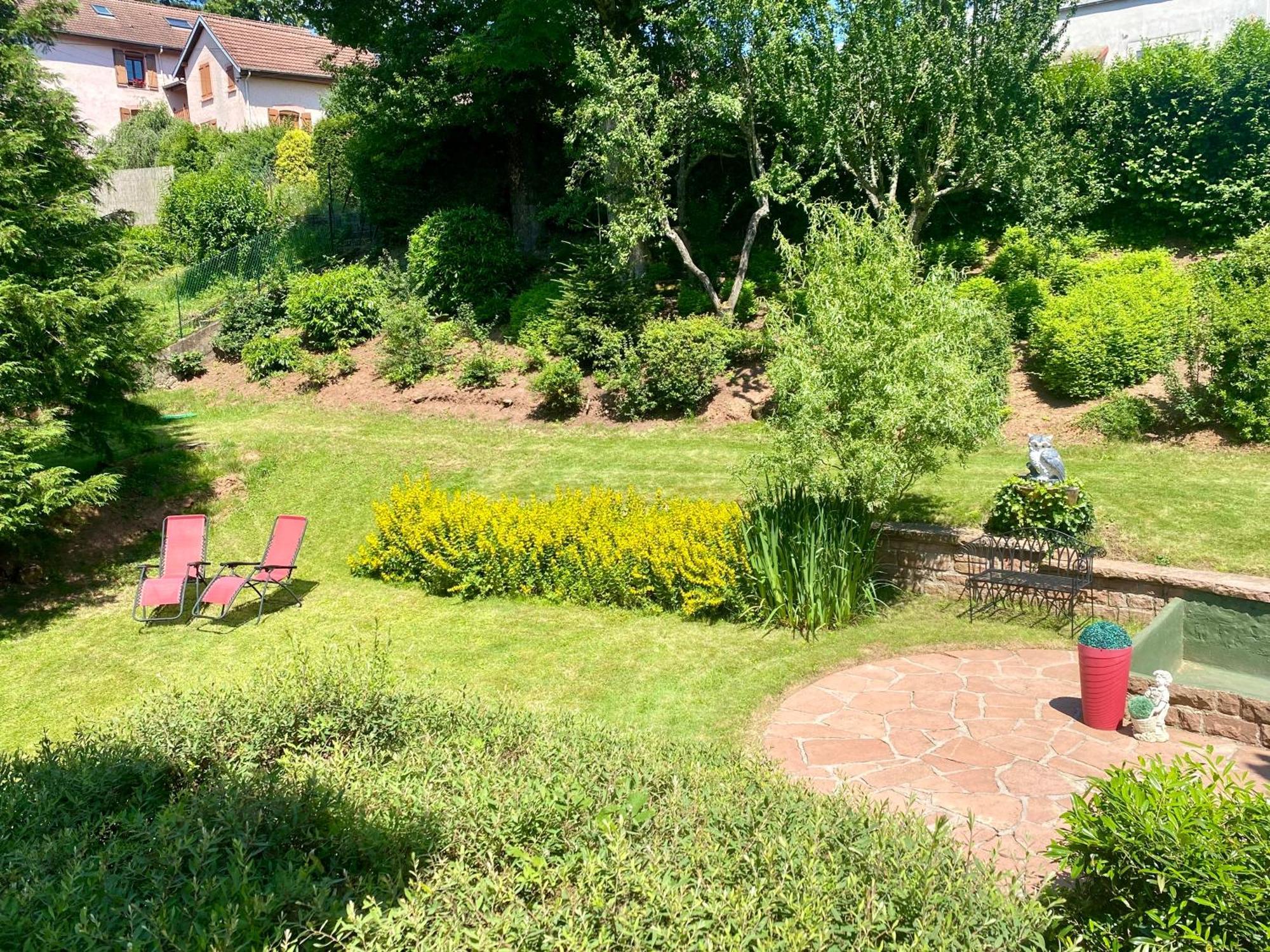 Le Gite De Brigitte ! Saint-Die-des-Vosges المظهر الخارجي الصورة